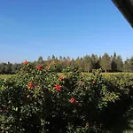 无名之地公寓
