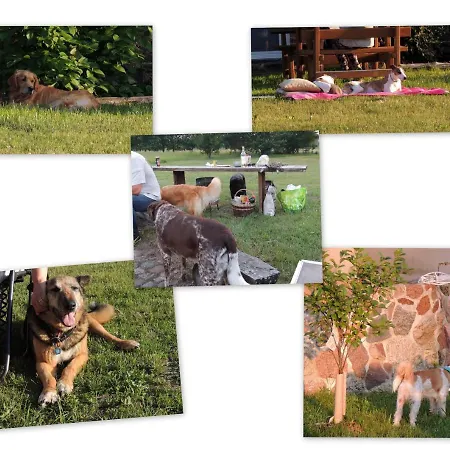 Gdzie Diabel Mowi Dobranoc Διαμέρισμα