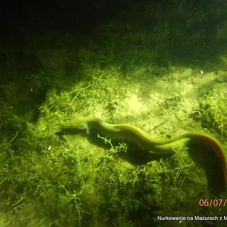 Διαμέρισμα Gdzie Diabel Mowi Dobranoc