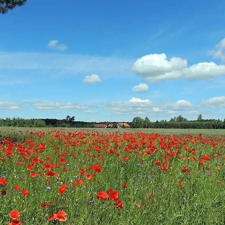 Gdzie Diabel Mowi Dobranoc * Pisz