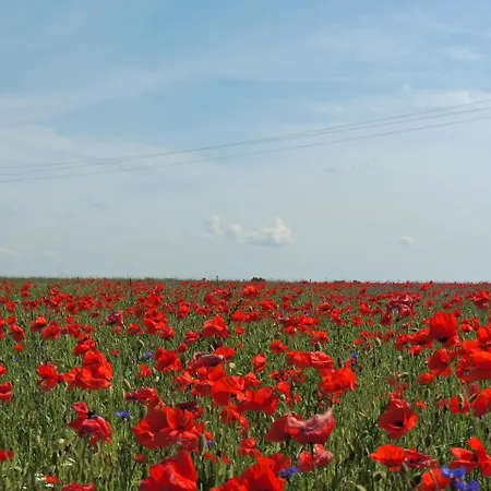 Διαμέρισμα Gdzie Diabel Mowi Dobranoc